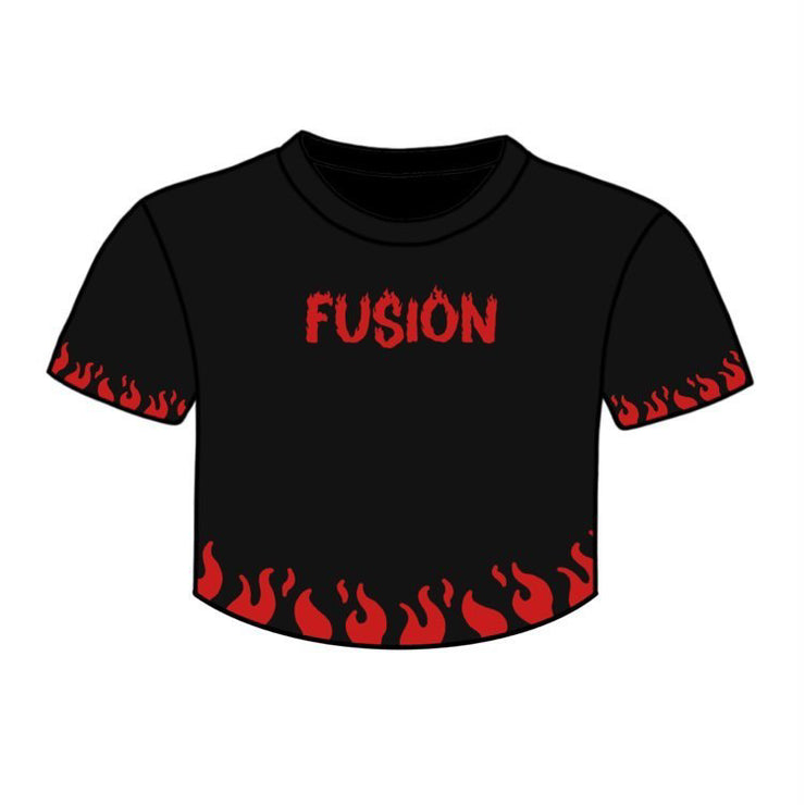 Women's Flame Cropped T-Shirt – Fusion100